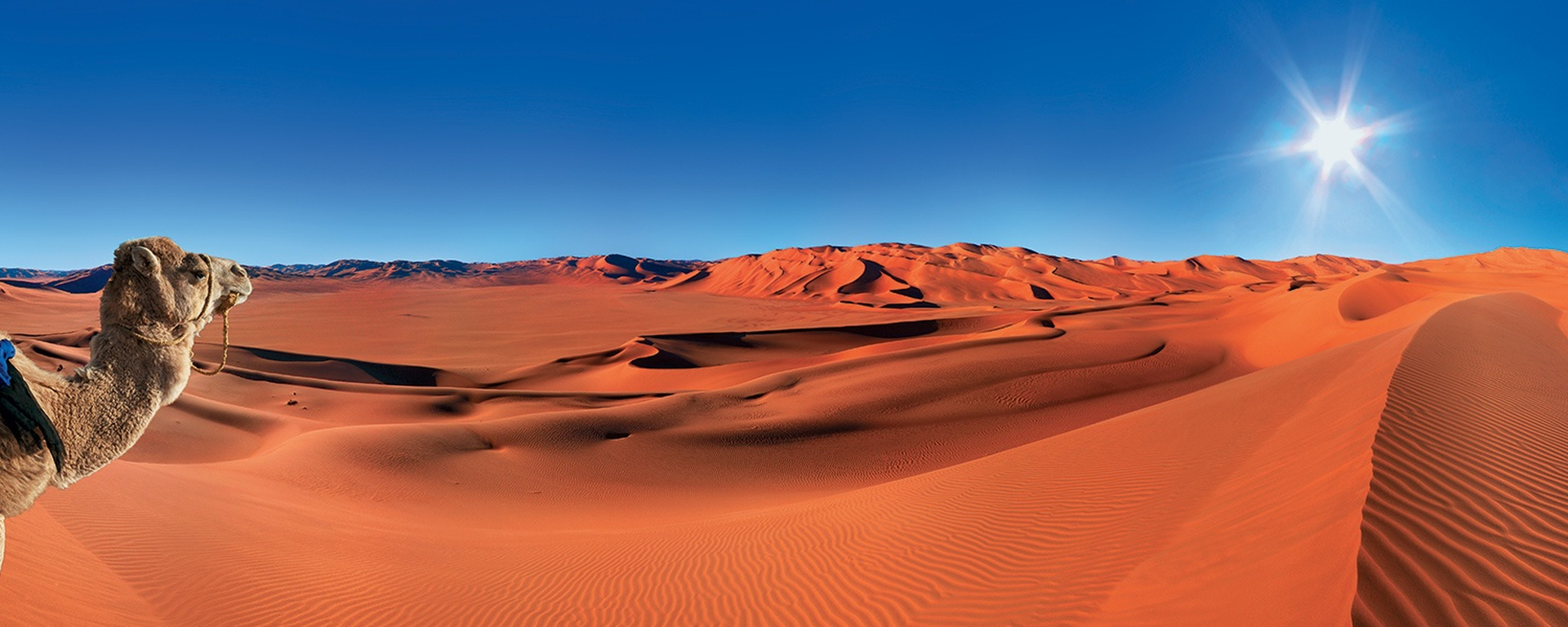 Weather in Morocco in February: Climate Guide & Travel Insights