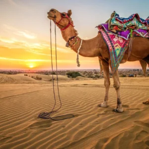 9 Days Morocco Agadir Desert Tours Start In Agadir And End In Marrakech