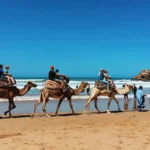 Top Family Vacation Ideas: Fun & Kid-Friendly Destinations